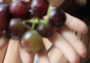 155fun的地址是啥？我觉得我快被网路搜奇葩搞晕了…