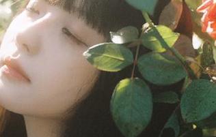 当“吃瓜免费网站”开始分享，怎能不被吸引？好瓜一口吃下去！