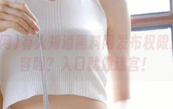 有人知道黑料网发布权限怎么形容吗？入口就像迷宫！